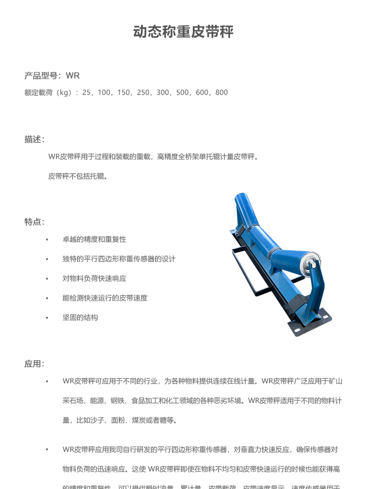 高速动态皮带秤